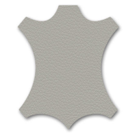 Cement (New Leather) 4